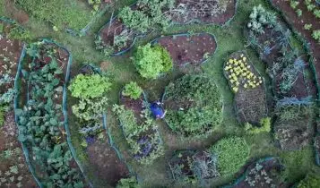 jardin-mandala-permaculture