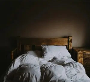 punaise-lit-terre-diatomee