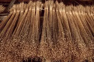 fibre-lin
