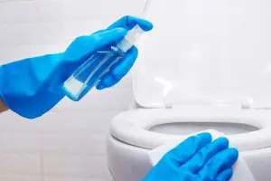 spray-wc-maison