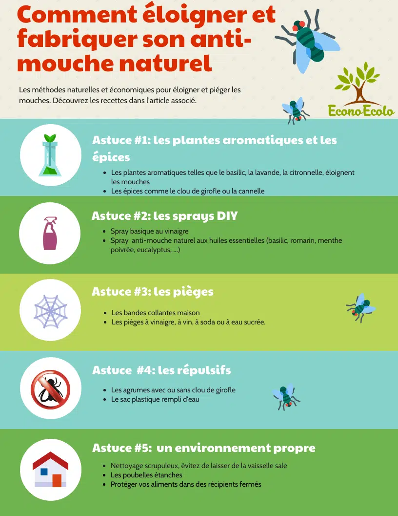 Comment éloigner les mouches et fabriquer son anti-mouche naturel anti-mouche-naturel